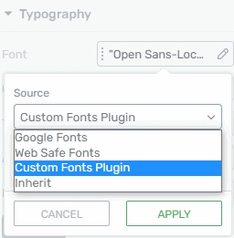 Local Google Font - Thrive Themes - Typography - Use Custom Fonts Plugin