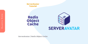 ServerAvatar Tutorial - Setup Redis Object Cache